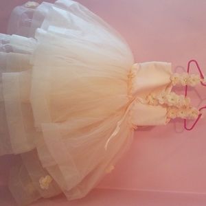 Itty bitty toes dress the liz dress